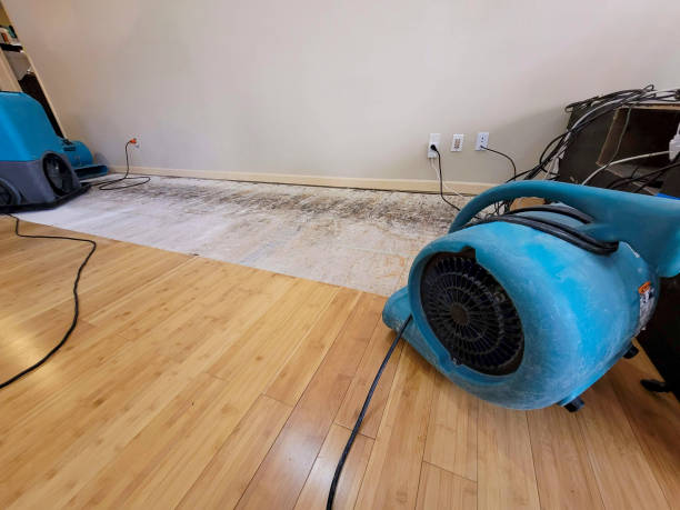 Professional Structural Drying technician working in Juneau, WI